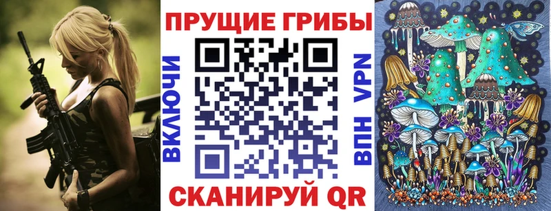 Купить где  Электроугли  Псилоцибиновые грибы Psilocybine cubensis 